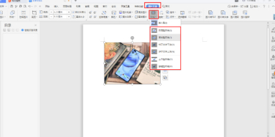 WordνͼƬָλϣаַӸ㶨