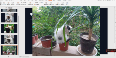 PPTͼƬҳ뵽õƬУܼ򵥣