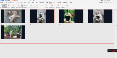 PPTͬʱ鿴ŻõƬݣ򵥣