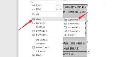 wpsĵлεкţWPS˵к