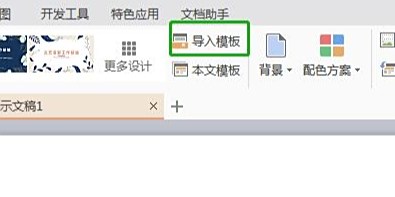ʹԼĻõƬģ壿WPSõƬģ