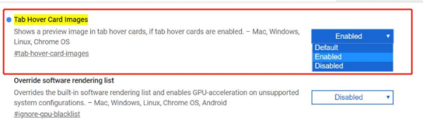 һI_Chrome[ع:ˑͣA[W