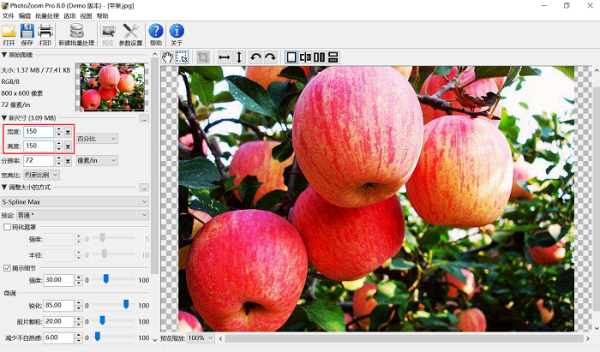 ӲŴDƬʧ棿Photozoom ProֵÓ