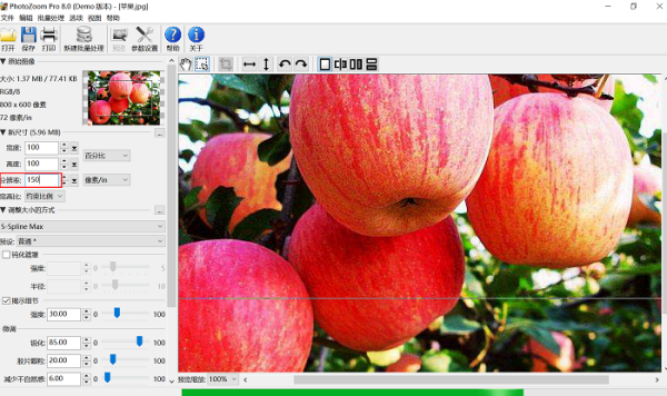 ӲŴDƬʧPhotozoom ProֵÓ
