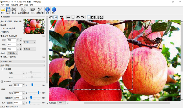 ӲŴDƬʧPhotozoom ProֵÓУ