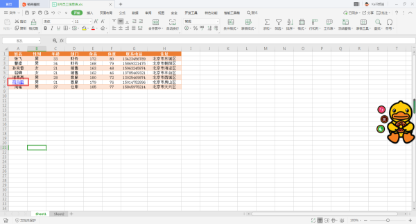 ExcelO(sh)ó朽ӵָsheet