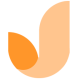 �ſ���