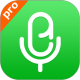 ¼��Pro